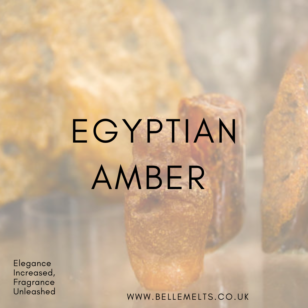 Egyptian Amber