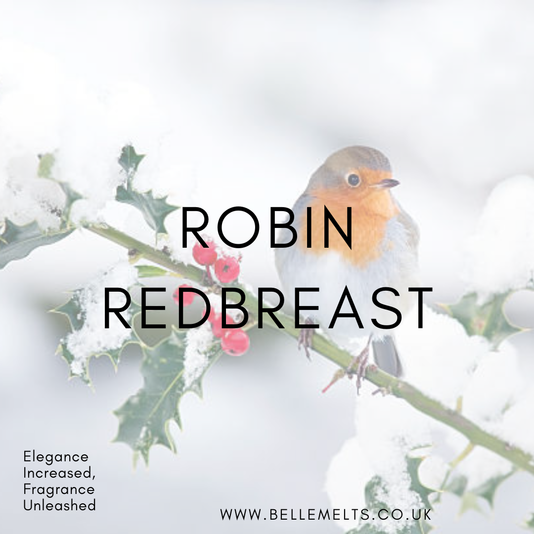 Robin Redbreast