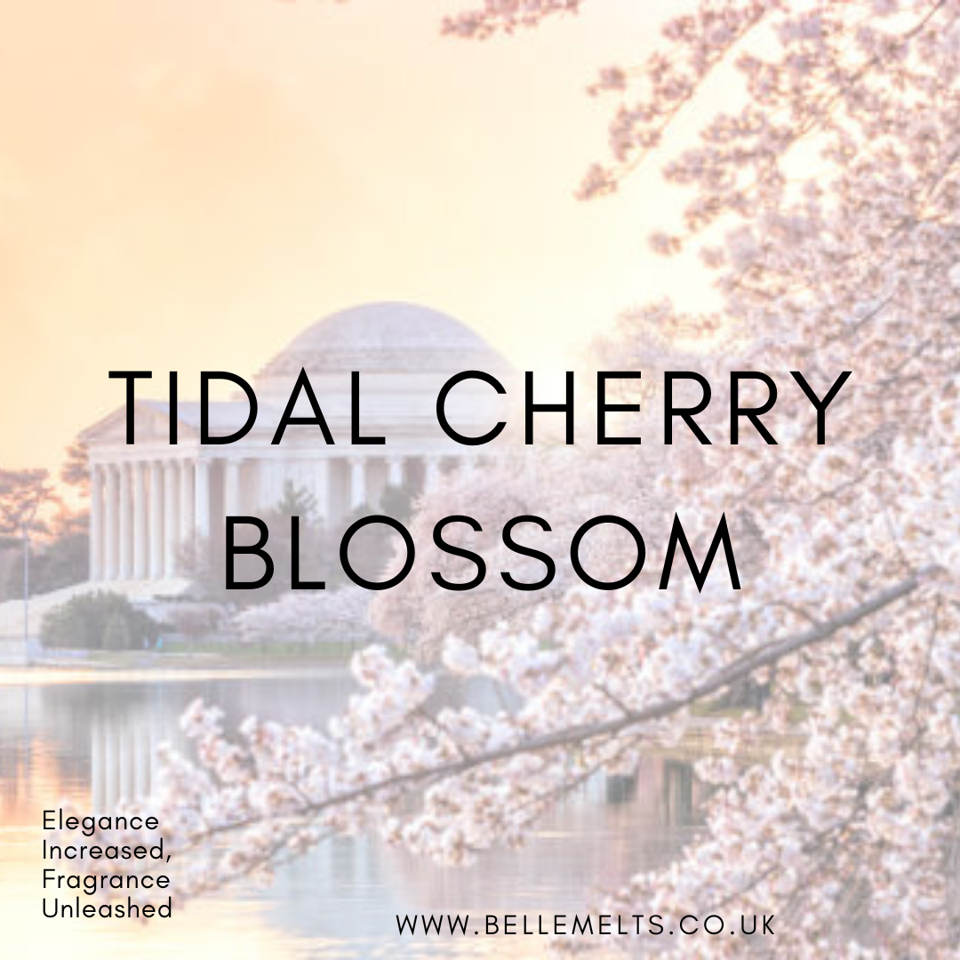 Tidal Cherry Blossom