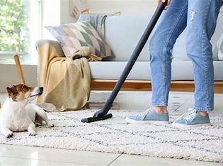 "Belle Melts Hoover Discs arranged neatly, highlighting effective odor neutralization for home freshness."
