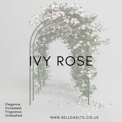 Ivy Rose