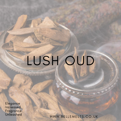 Lush Oud