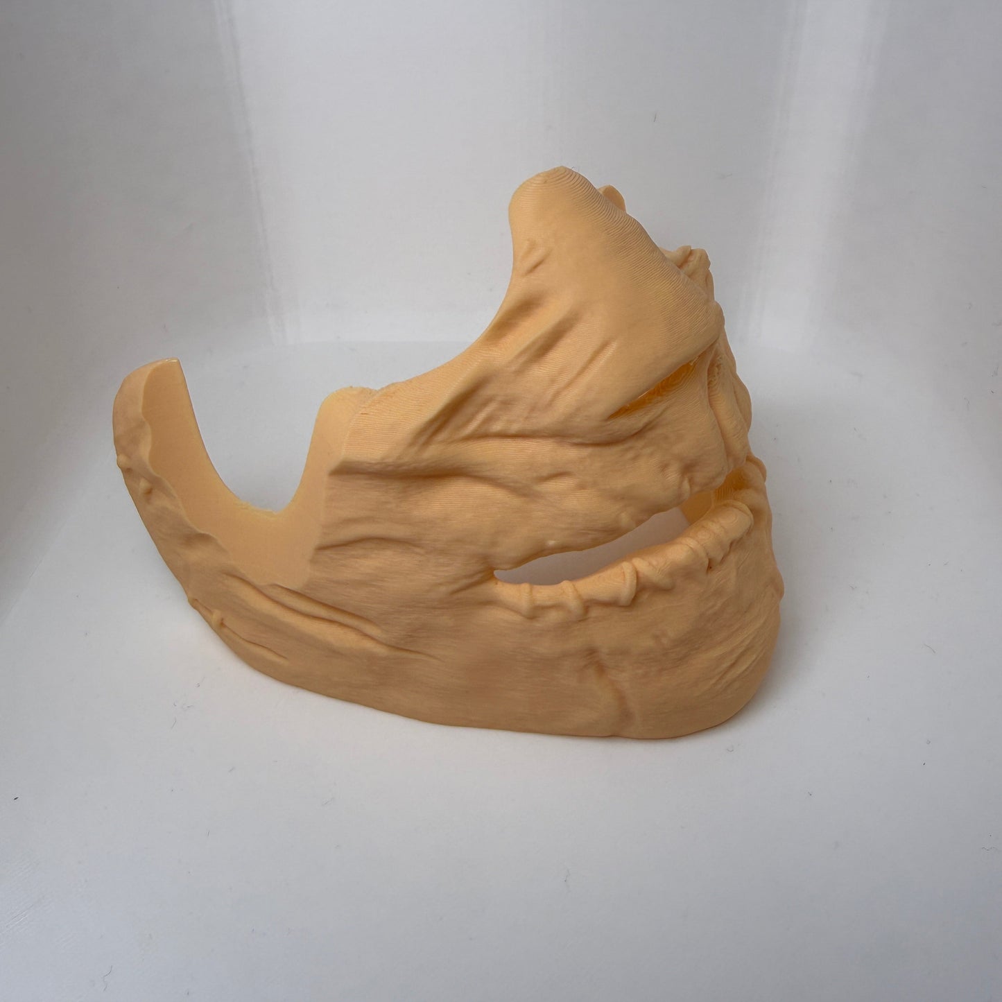 Decorative wall piece with a lion's head on a plain white background